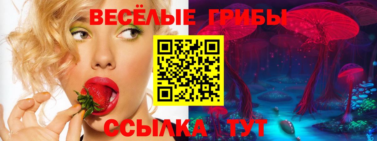 Железногорск  Галлюциногенные грибы GOLDEN TEACHER  Галлюциногенные грибы мухоморы  Вход с VPN 
